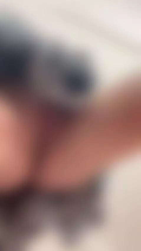 I love showing off my pretty pussy by eveliinaa