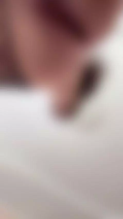 I’m practically begging for you to lick it by eveliinaa