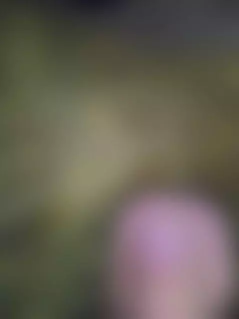 Video by dergeile691