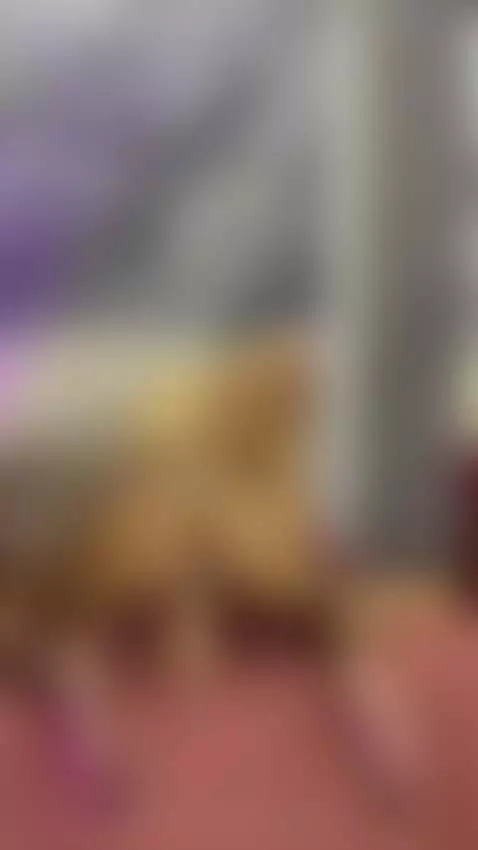 I ride your hard cock like a Cowgirl 🦄 by alishaebonyy