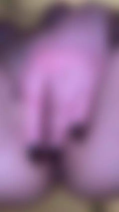 Tell me I’m your favorite temptation by skyamina