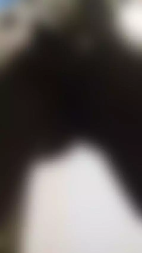 Your next addiction starts at my feet and ends at my rules. by lucasbeckford