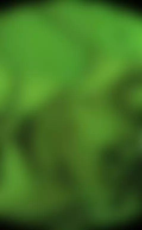 Video by tammybennet