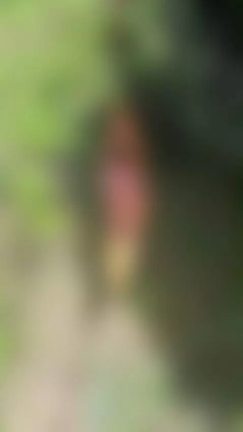 Mmm, like that, the two of us in the hammock, doing it. 🔥 by hannawells