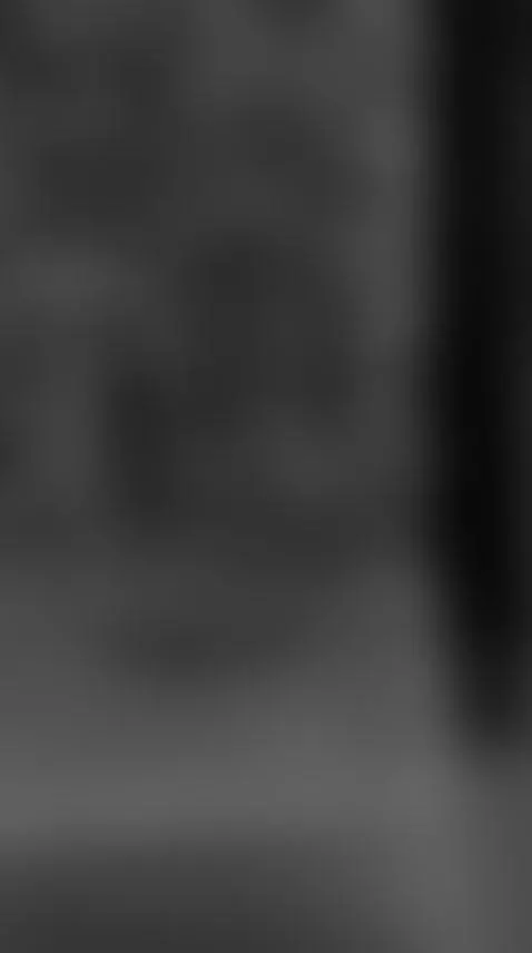 The views from my window 🌳 by lizzy-kane