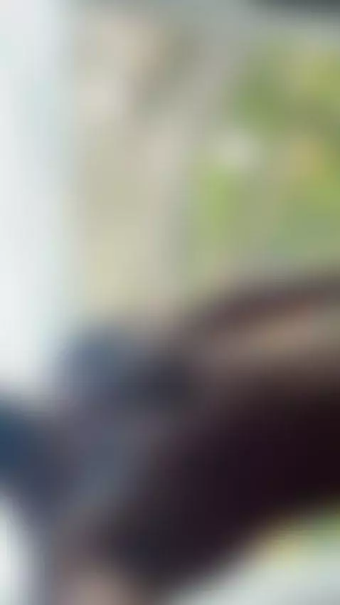 good day))) by segabo