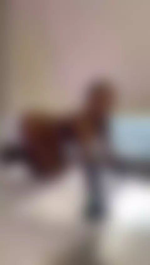 Hello guys, I'm new, come to my pages and let's meet persona... by gabrielalugo