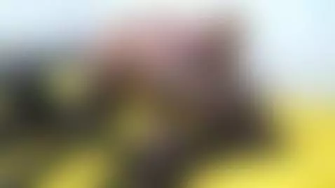 The fuck machine is tearing up my pussy. by auntanna