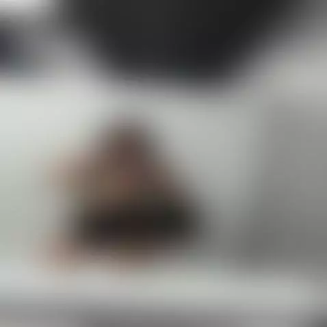 this is me one breath away from begging by emmabliss