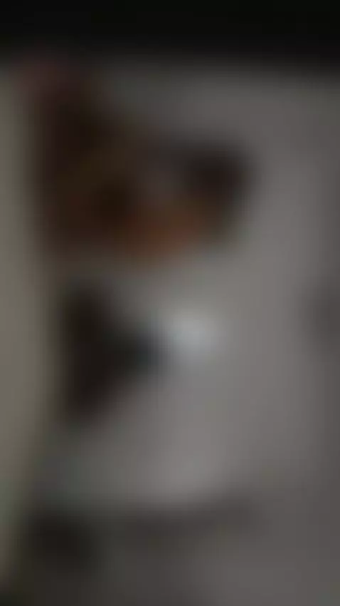 গার্লফ্রেন্ড সেক্স ভিডিও by morjinakhatun