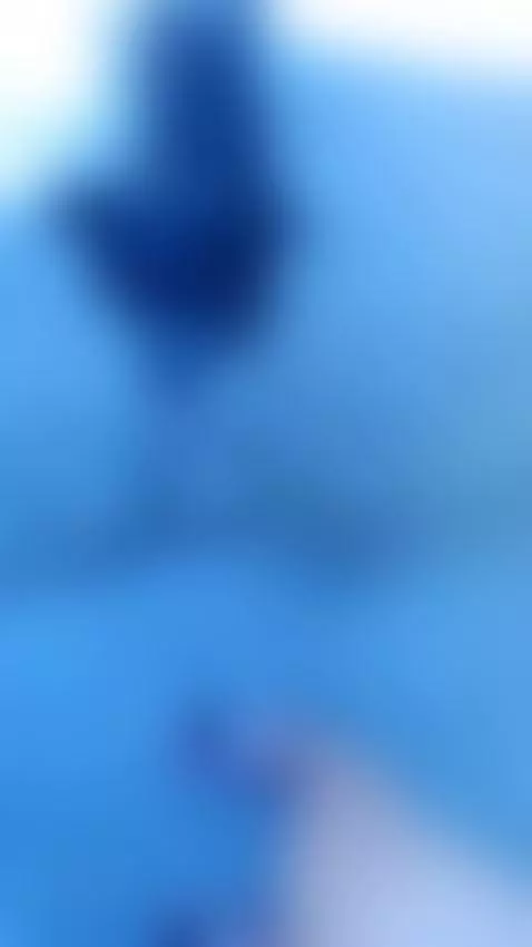 VID_20240817_150230 hi from ukraine ) i help safe animals na... by annanotidealangel