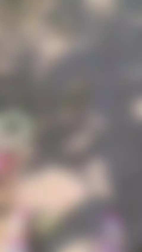 animals help from me by annanotidealangel