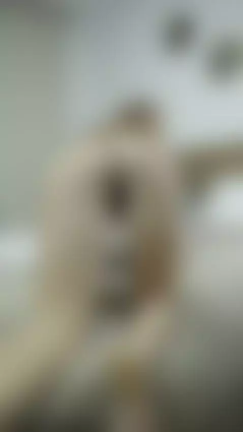 Chica de 18 años hace casting para su primer video para adul... by realcasting