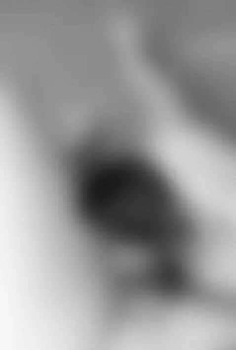 Si, un poco de aceite para hidratar y taladrar... by jayderx