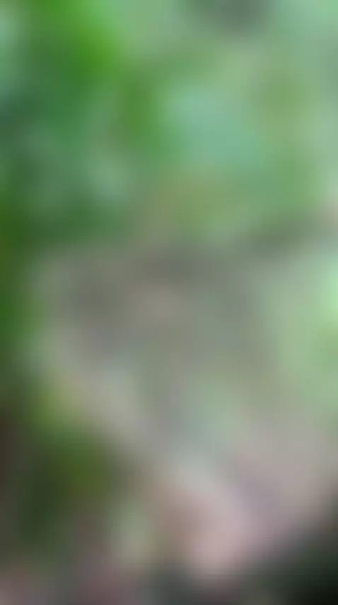 lewd, wicked and hot beyond belief. by jayderx