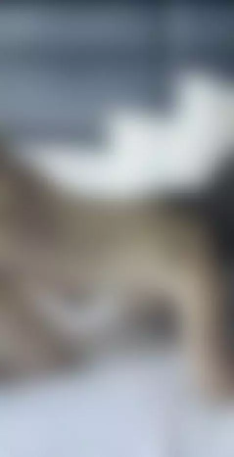 Homemade porn with my slut hotwife – she cums harder than ev... by hollywife