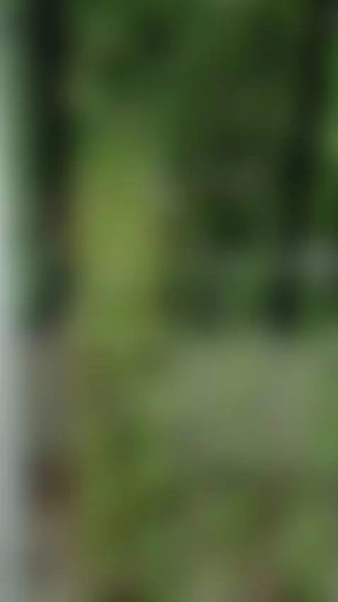 I forgot I was naked because I was going to see the accident... by latinmxsex