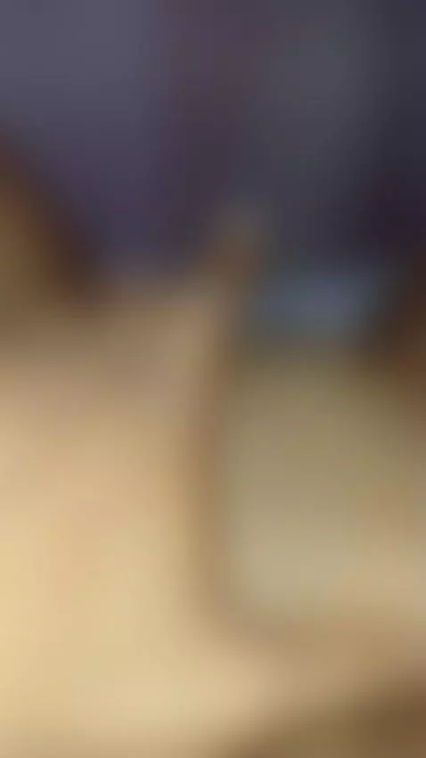 PUSSY POV by amber-fooxx