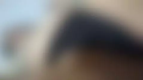 lick all by tellmemaddie