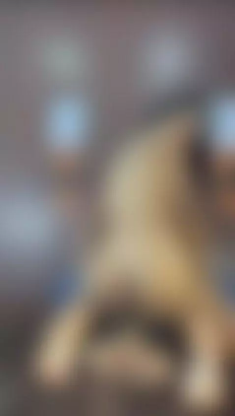 RIDE DILDO by isabella169