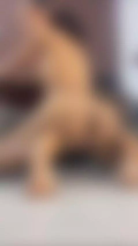 NALGAS REBOUNDING by isabella169