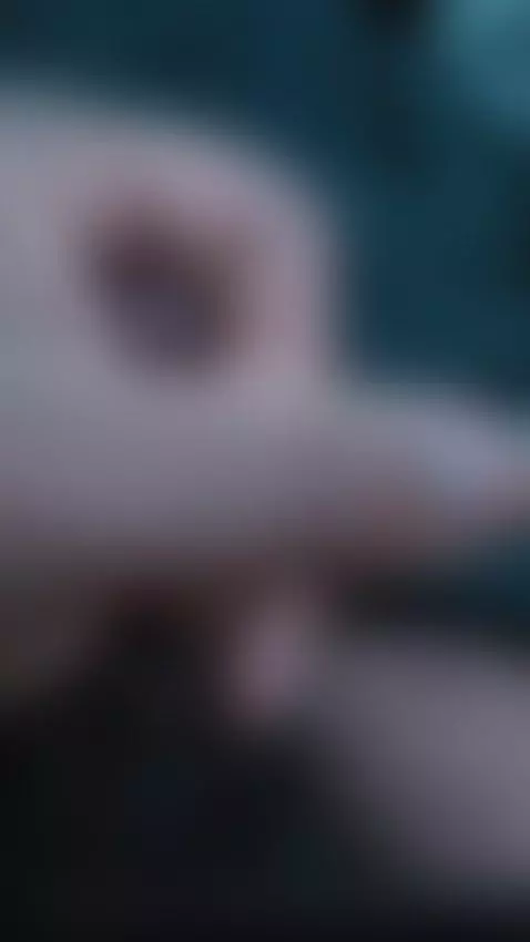 Video by thefinalboss9121