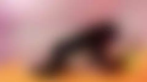 Puppy folds femboy Haru up and fucks him - part 2 preview
@g... by k9-goodboy