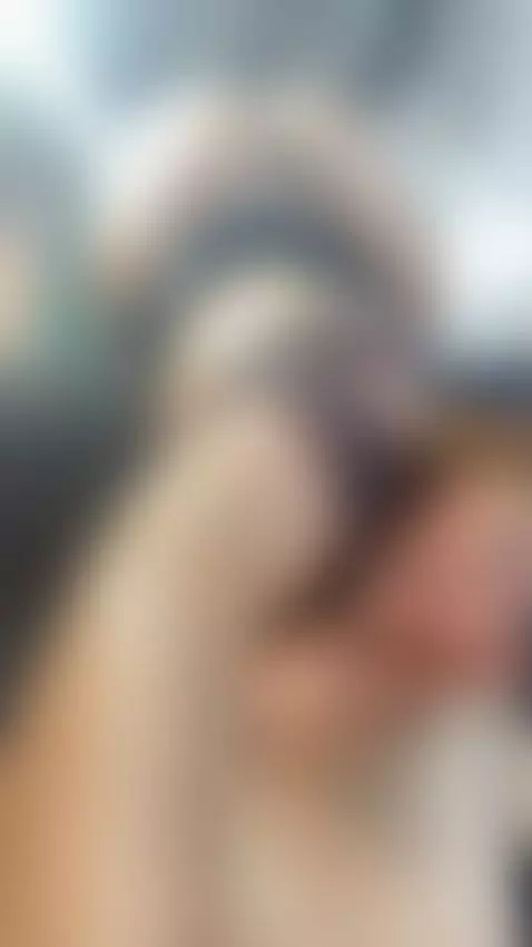 hello 👋🏻👋🏻👋🏻 by lisbedoy