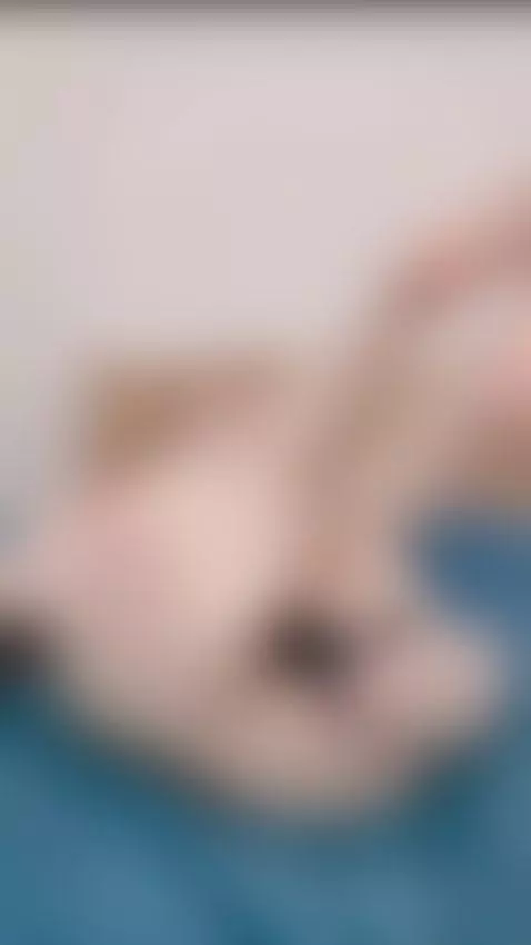 I'm trying to fuck my ass with a plug by kirameowts