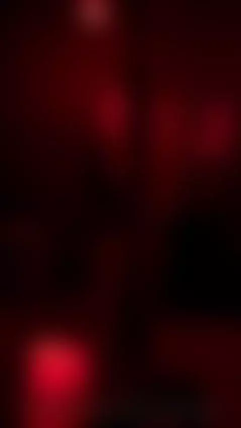 la noche en gatos rojos comienza así ❤️‍🔥 by gatosrojosclub