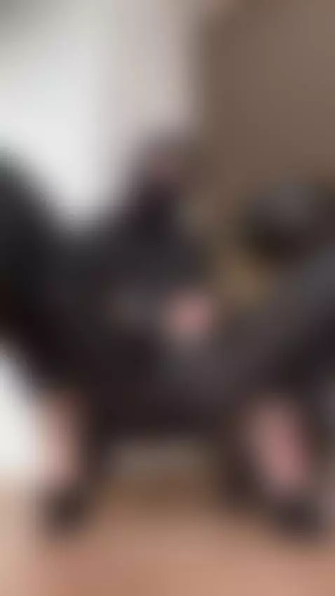 muslimmistress teasing boldly under low light by sashasavage