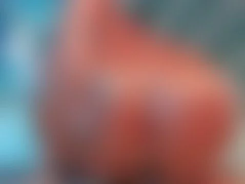 NEW VIDEO ON BIOO by naomisosa