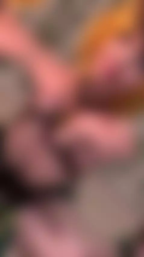 Im begging you to fuck me hard right now 🥵 by missfrogg