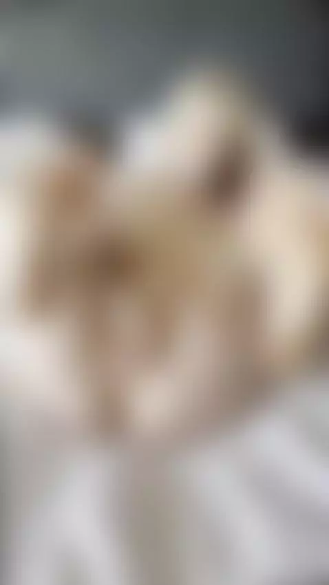 Thick thighs spread wide, fingers teasing wet slit by sanderslina