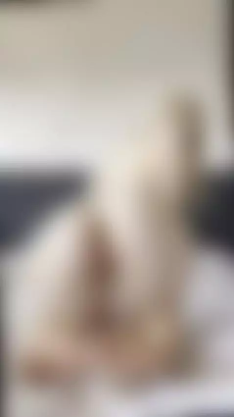 Bend me over and fuck me raw 😘 by sanderslina