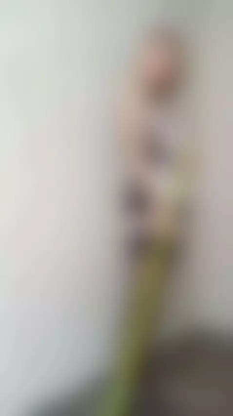 🔥 Hot red lingerie tease by blonde by callme-hotkris