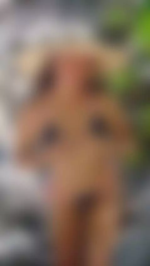 Lean stomach exposed as she pulls her bikini top down on roc... by ellynextdoor