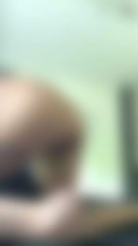 huge tits nude cumming hard tight pussy  Link in OF by mikaadoll