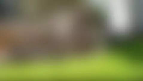 Very old pic of me wanking and cumming outside by shybuthornynz