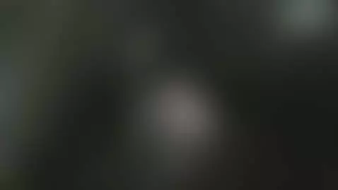 Apparently I'm good...more with Brian for subscribers/paid by shybuthornynz