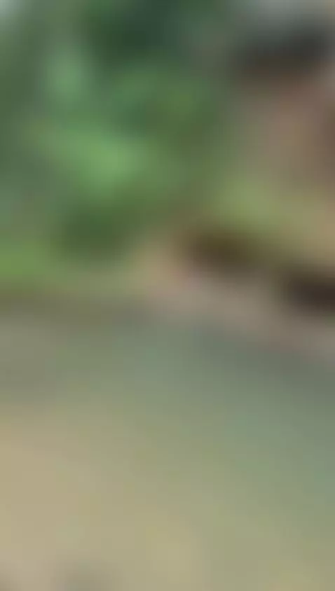 on-line by chloefox2