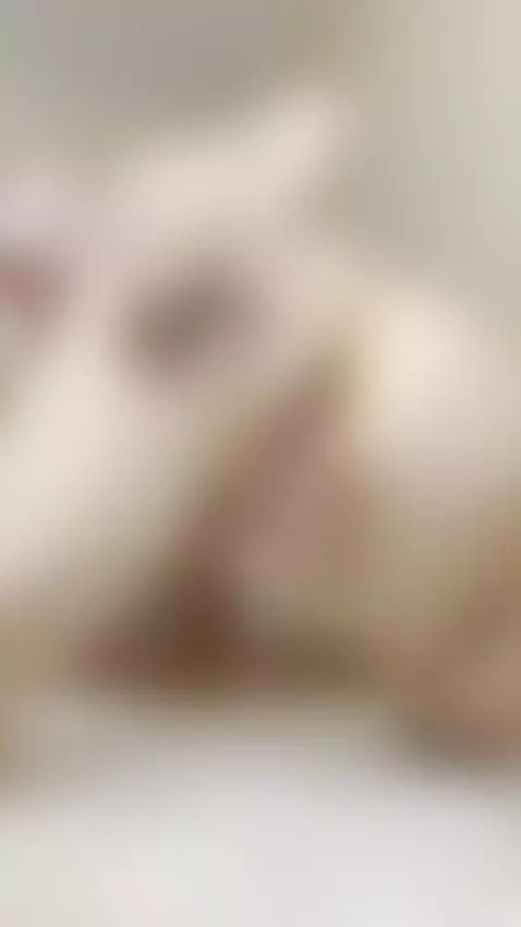 Thick thighs spread wide, fingers inside 🥵 by sofichan