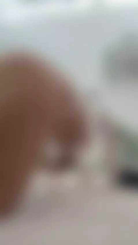 Thick ass raised high begging to be fucked 🤤 by katerina-23