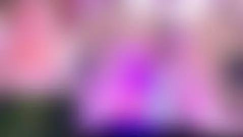 stripchat, chaturbate, camsoda by vivicutie