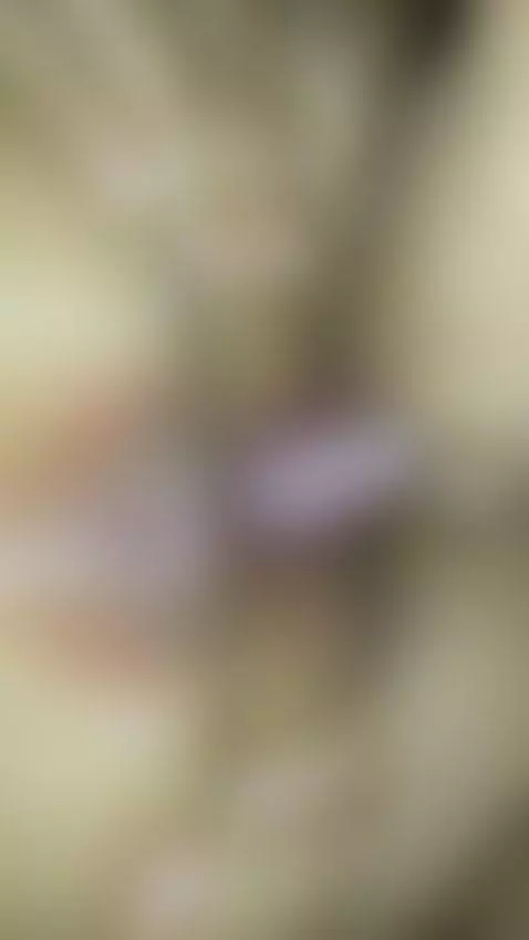 sexoreal99 sexo anal a la putita de mi ex
Lily sexo anal by sexoreal99