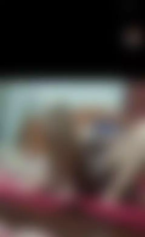 xxx video recording by taniyaxx1