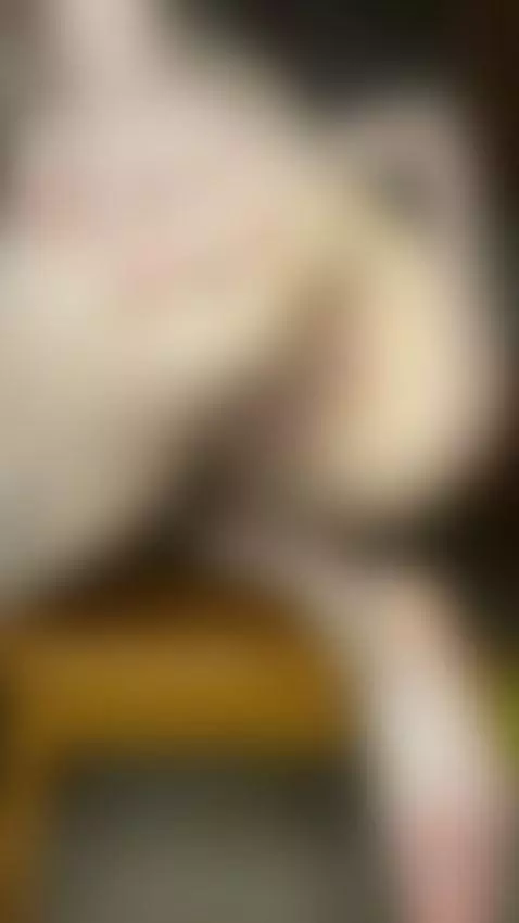 Wait till you see how big pussy lips really are 😏 Sub OF by sofiink