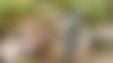 Sexy busty slutty grinding naked wet pussy  OF now by lana155cm