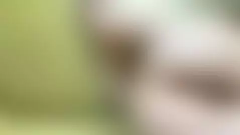 wild tight ass cumming hard nude cum  Full on OF by lana155cm