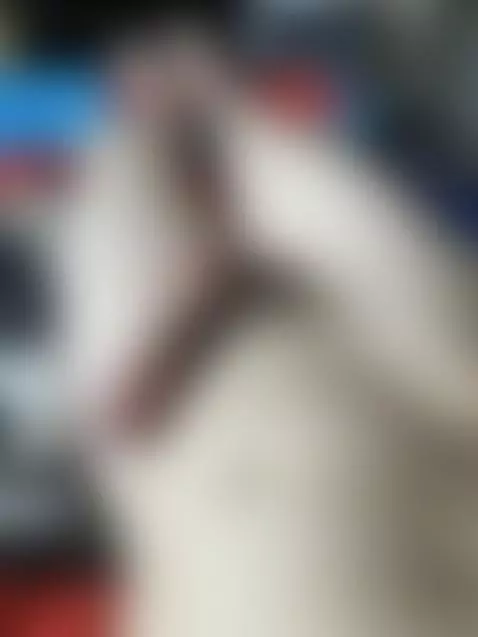 bubble butt horny teen jerking off by masterbateing